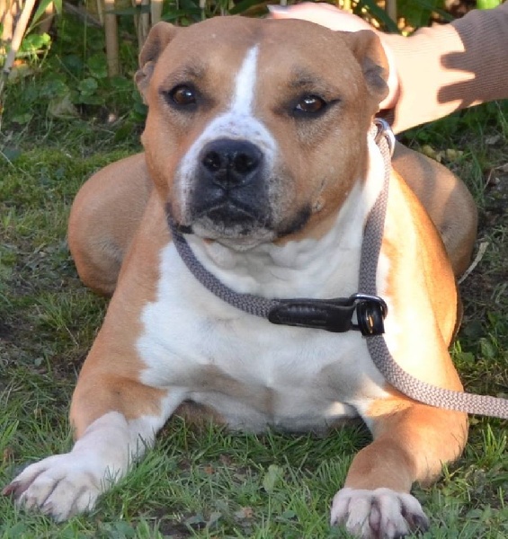 Make up Tipit z hanky